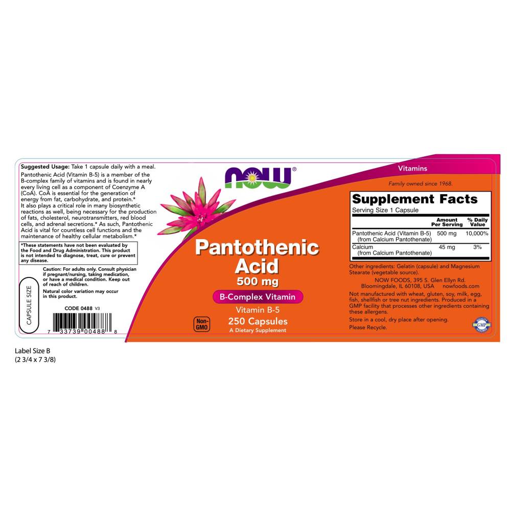 나우 Now, Pantothenic Acid 500 mg, 250 캡슐