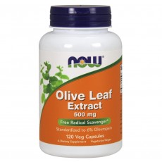 나우 Now, 올리브잎 추출물, 500 mg 120 베지테리안캡슐